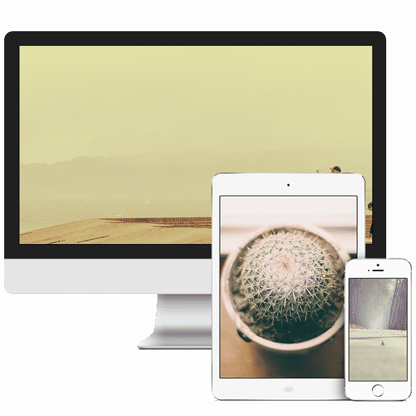 Desenvolvimento site wordpress